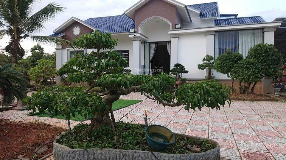 Nhà và vườn (biệt thự) dt 5,5 ha (700m2 ont) haimặt tiền tỉnh lộ 721 madagui đạ huoai lâm đồng