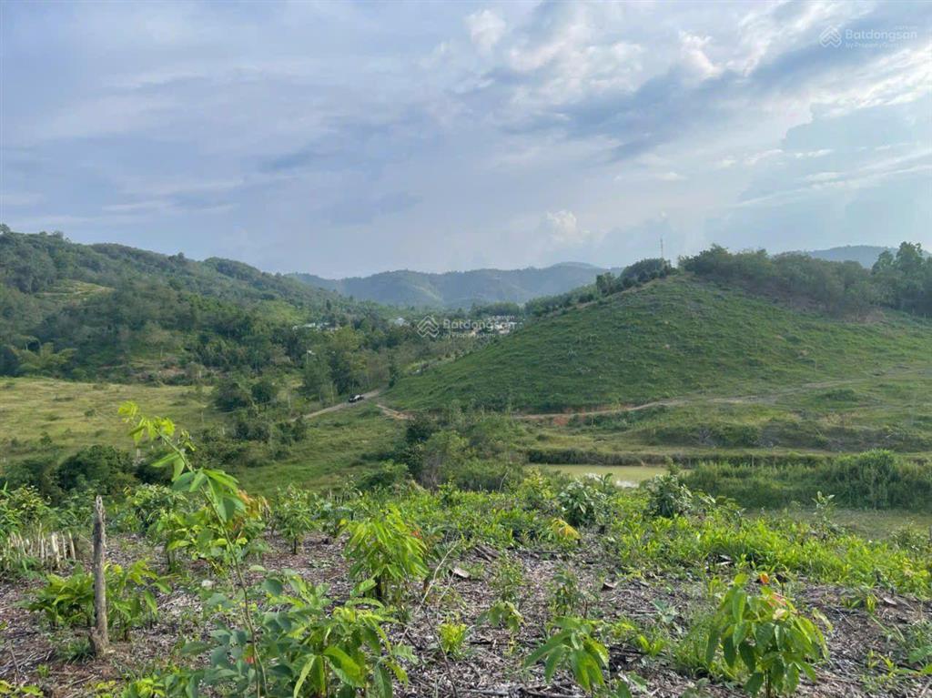 Nhà và vườn (biệt thự) dt 5,5 ha (700m2 ont) haimặt tiền tỉnh lộ 721 madagui đạ huoai lâm đồng