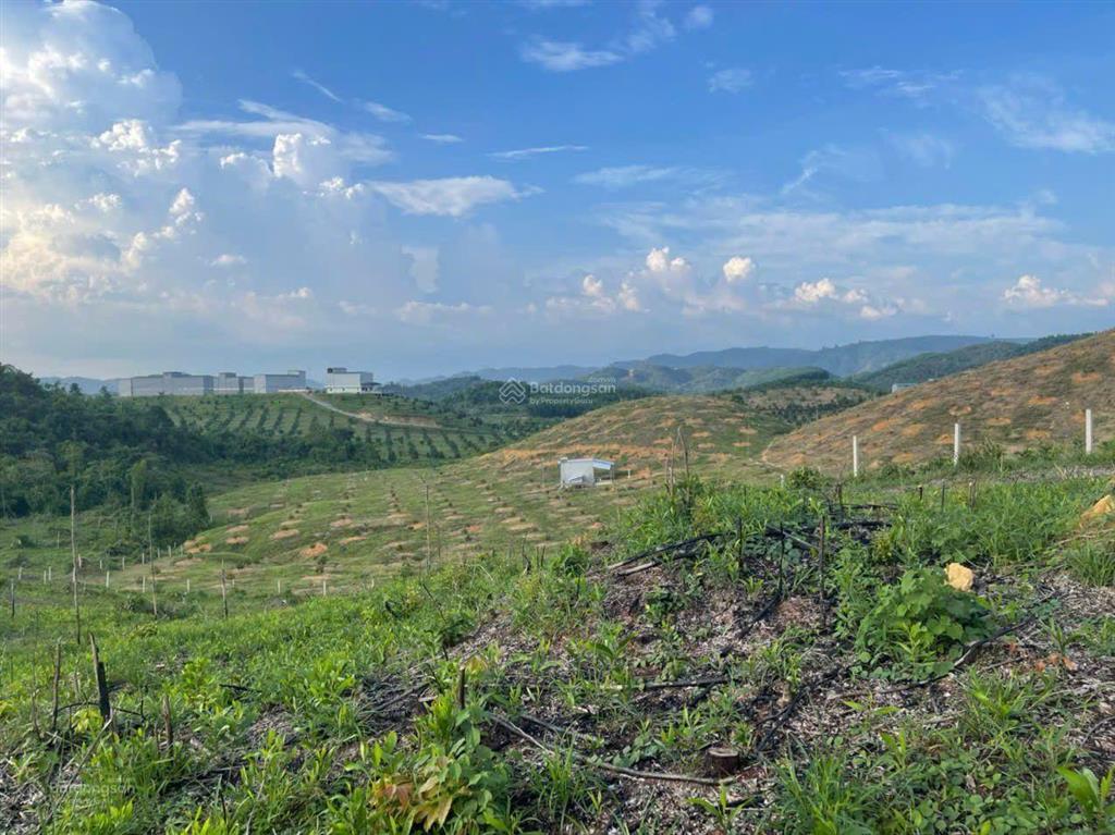 Nhà và vườn (biệt thự) dt 5,5 ha (700m2 ont) haimặt tiền tỉnh lộ 721 madagui đạ huoai lâm đồng