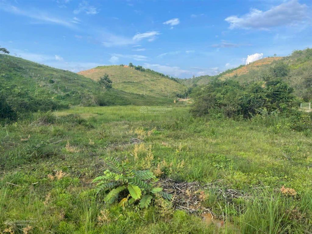 Nhà và vườn (biệt thự) dt 5,5 ha (700m2 ont) haimặt tiền tỉnh lộ 721 madagui đạ huoai lâm đồng