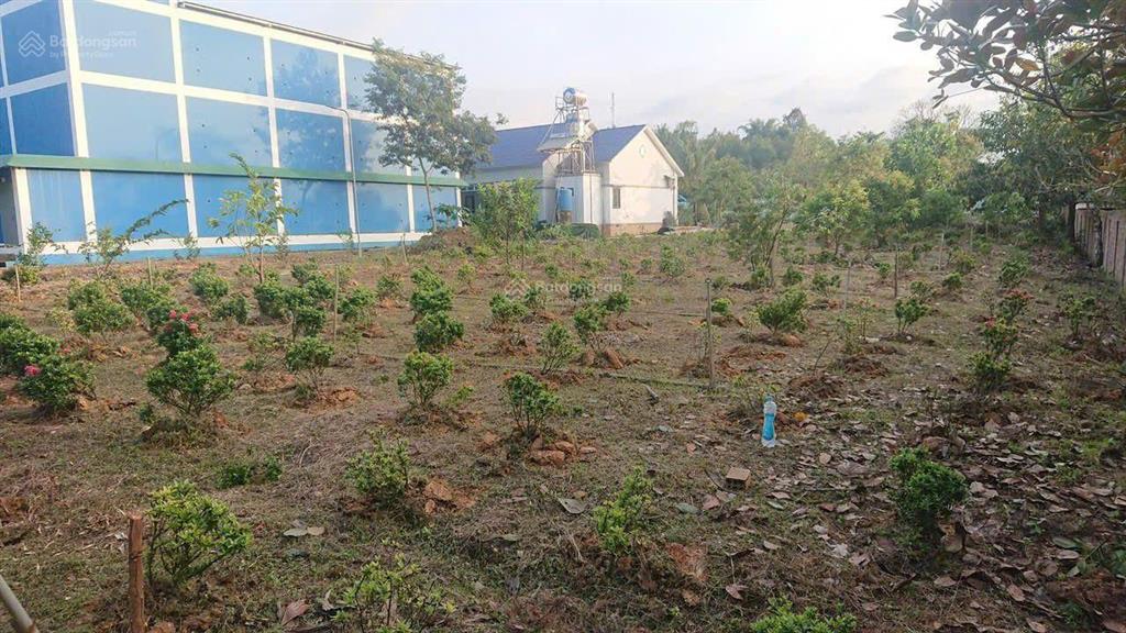 Nhà và vườn (biệt thự) dt 5,5 ha (700m2 ont) haimặt tiền tỉnh lộ 721 madagui đạ huoai lâm đồng