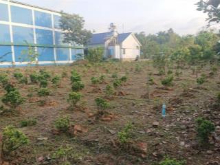 Nhà và vườn (biệt thự) dt 5,5 ha (700m2 ont) haimặt tiền tỉnh lộ 721 madagui đạ huoai lâm đồng