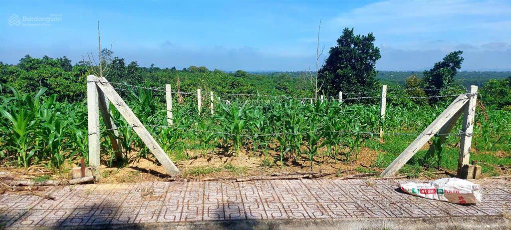 Bán đất 2 mặt tiền đường xã tân lạc, bảo lâm, sổ hồng riêng 100% thổ cư. dt 105m2