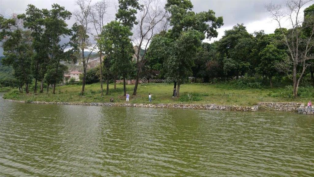 Chính chủ nhờ bán lô đất 4766m trong đó có 1000m thổ cư bán hồ đồng chanh