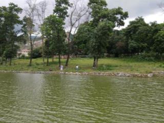 Chính chủ nhờ bán lô đất 4766m trong đó có 1000m thổ cư bán hồ đồng chanh