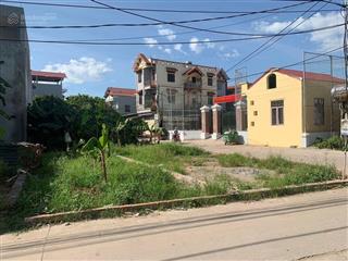 Chính chủ bán 420 m2 full thổ cư ô tô đỗ cửa tại mộc hoàn đình