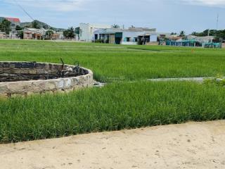 Bán đất gần biển giá đầu tư cách biển 1km