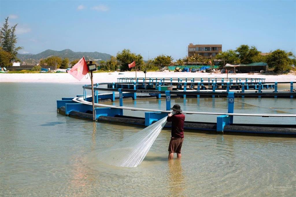 Sở hữu ngay lô đất thổ cư mặt tiền biển khu du lịch hoàn đỏ (nam khánh hòa)