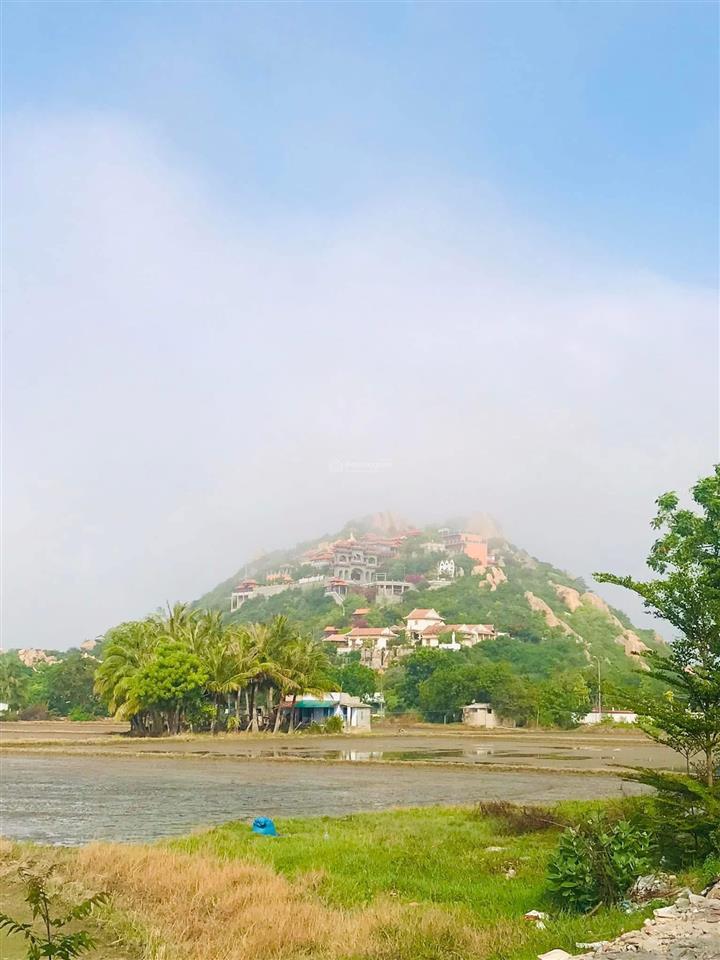 Bất động sản biển ninh chữ sản phẩm khai thác lưu trú cao cấp