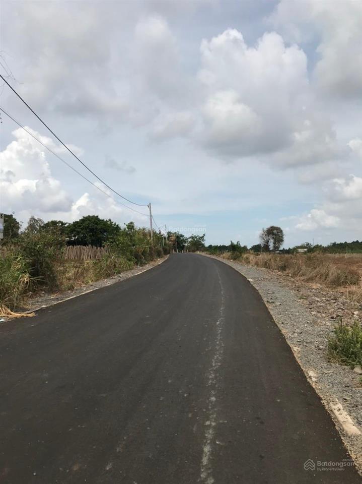 Chính chủ bán đất mặt tiền đường cách mạng tháng 8, đất đỏ, bà rịa giá ngộp