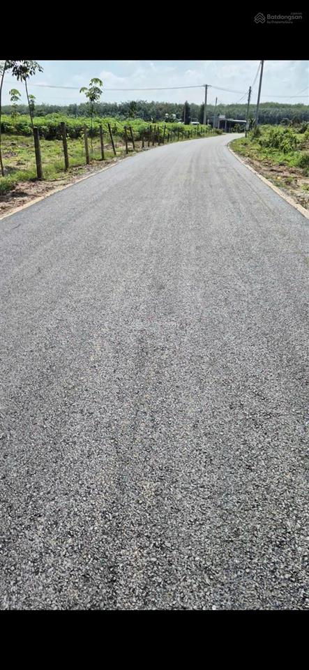 Cần bán đất ngang 25m dài 50m giá bán 2.6 tỷ có 300m2 thổ cư