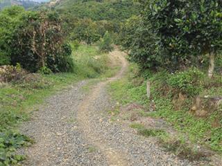 Bán 631 m2 đất vườn, xã bảo lâm 3 (lộc nam cũ), bảo lộc, sổ hồng riêng