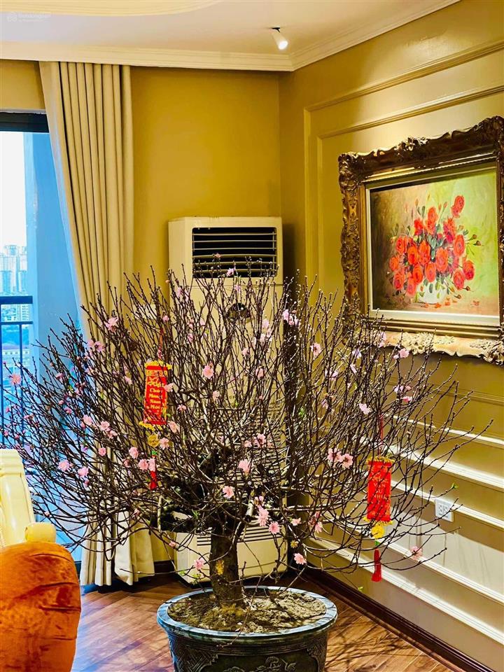 Chính chủ bán căn góc 3 ngủ ban công đn tầng 22 chung cư 24t hapulico, nội thất như ảnh giá tl