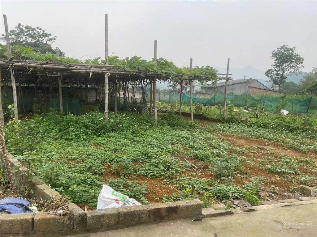 Giật mình với mảnh đất 225m2 giá cực yêu ngay tp vệ tinh hòa lạc
