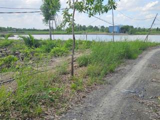 Bán gấp, hàng cực hiếm hơn 4.000m2 đất bình khánh, giá rẻ bèo 860k/m2