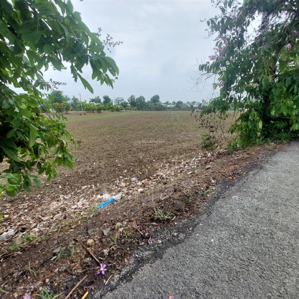 Bán 5000m2 đất vườn dân cư xây mới mt phạm tấn mười, qui đức, bình chánh giá 21 tỷ thương lượng