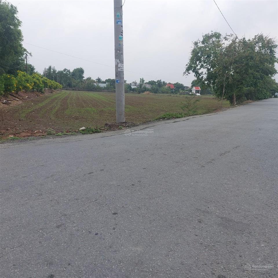 Bán 5000m2 đất vườn dân cư xây mới mt phạm tấn mười, qui đức, bình chánh giá 21 tỷ thương lượng