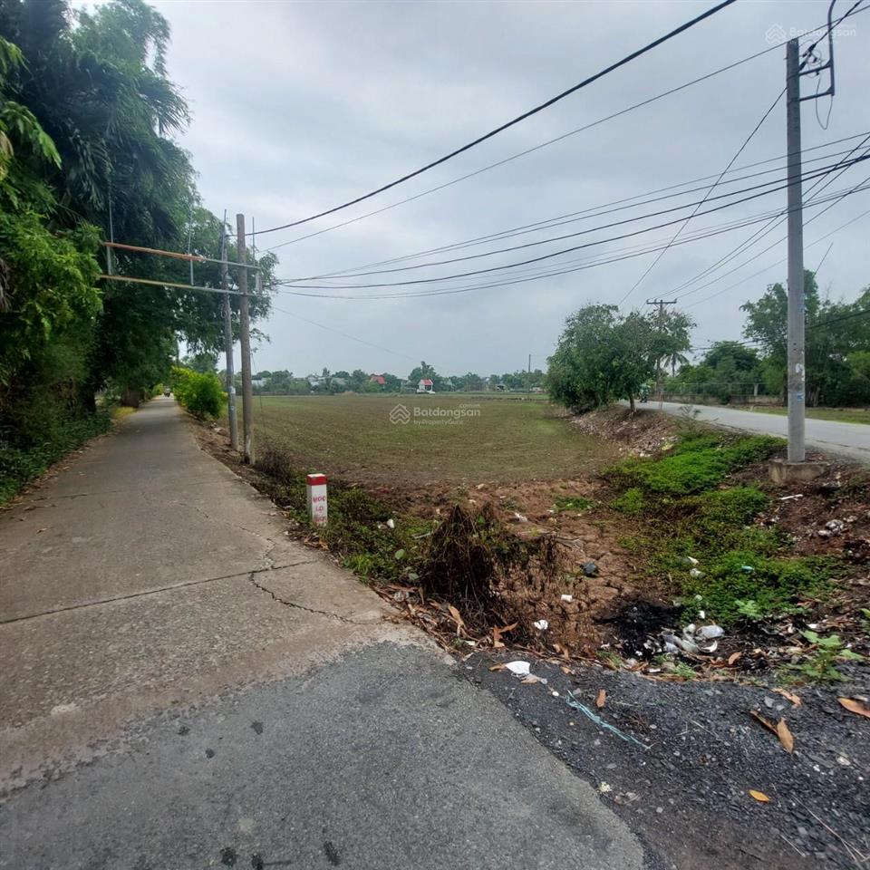 Bán 5000m2 đất vườn dân cư xây mới mt phạm tấn mười, qui đức, bình chánh giá 21 tỷ thương lượng