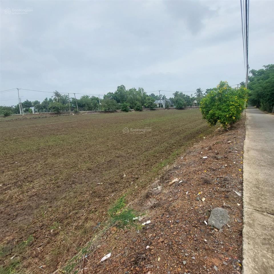 Bán 5000m2 đất vườn dân cư xây mới mt phạm tấn mười, qui đức, bình chánh giá 21 tỷ thương lượng