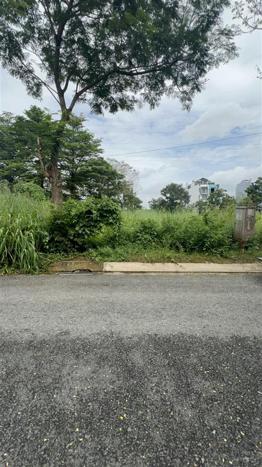 E bán lô góc view công viên sổ đỏ cách chung cư 30m kdc khang điền bình chánh