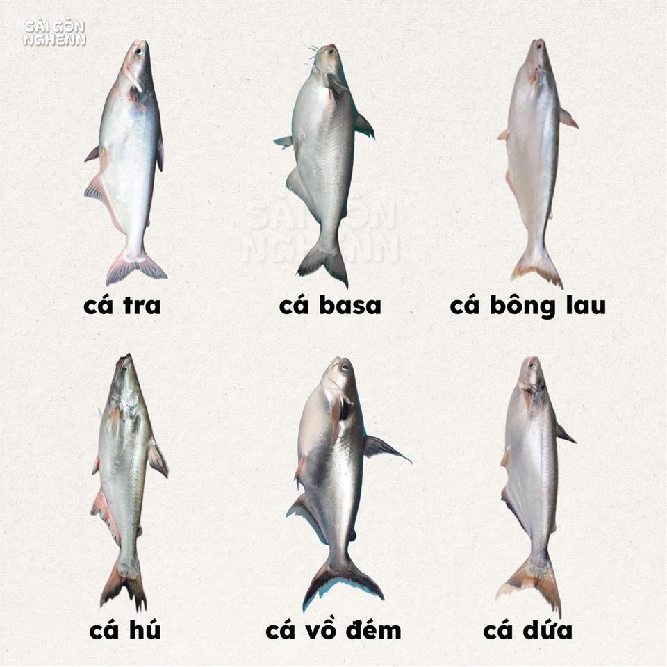 Đất đuong phan đăng lưu 130m thồng đường2/9