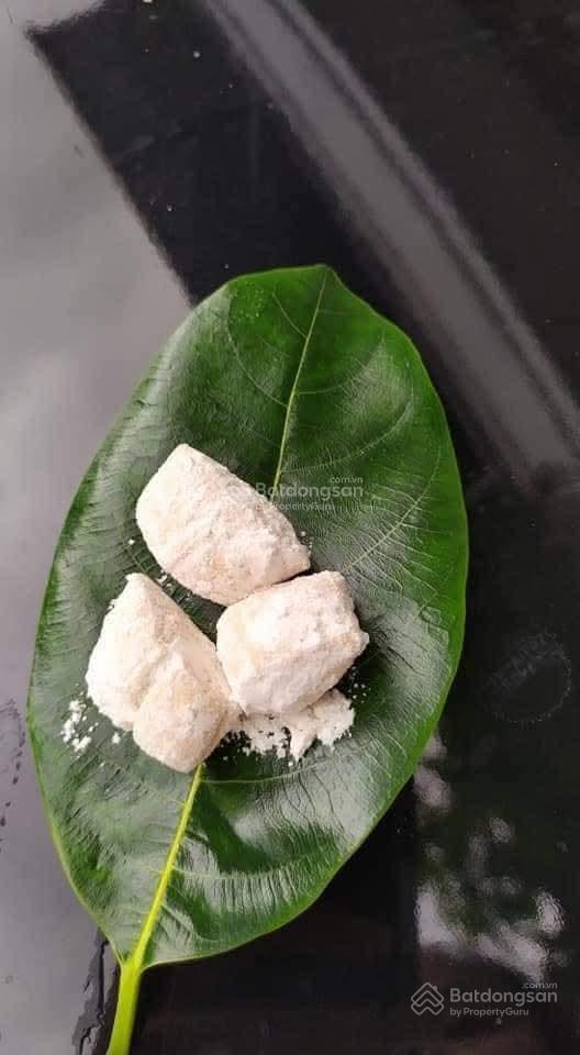 Đất ngay bến xe đà nẵng đường 10 lê thạch