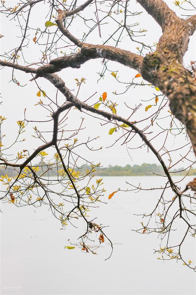 Đất ngay bến xe đà nẵng đường 10 lê thạch