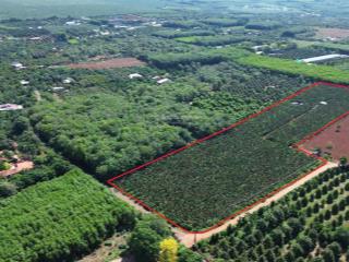 Bán 28000m2 đất sông xoài, 230m mặt đường, hơn 2000m2 thổ cư, đất bằng phẳng