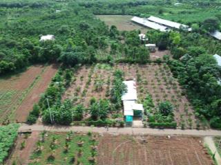 Bán lô đất sào đẹp giá rẻ, mặt đường nhiều, gần trung tâm, ql 56