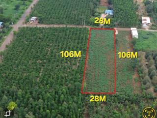 Bán 3000m2 đất khu dân cư, phủ hồng, đường nhựa, 3.25 tỉ