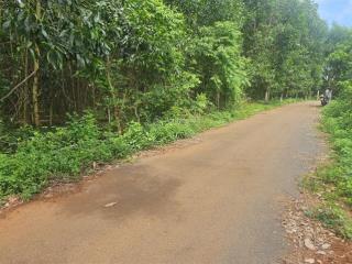 Bán 1542m2 phủ hồng đường nhựa, kim long tp hồ chí minh 2.16 tỉ