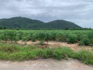 Bán lô đất mẫu 26500m2 có 500 thổ cư, gần nút cao tốc biên hòa vũng tàu