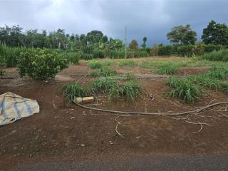 Bán mảnh đất sào, khu dân cư láng lớn 1952m2, 28m mặt đường nhựa