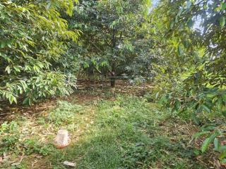 Bán 2 sào, 40m mặ đường , phủ hồng , sát đường mỹ xuân ngãi giao