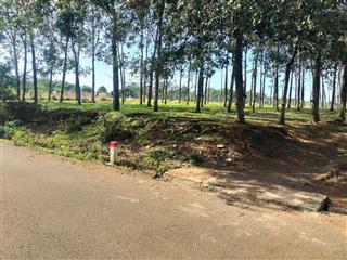 Bán 1.1 ha đất khu dân cư quảng thành, 1/ ql56 chỉ 5.7 tỉ