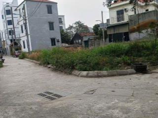 Bán đất Đấu Giá Siêu Quần, Tả Thanh Oai, Thanh trì - lô góc 53m2 và 45m2