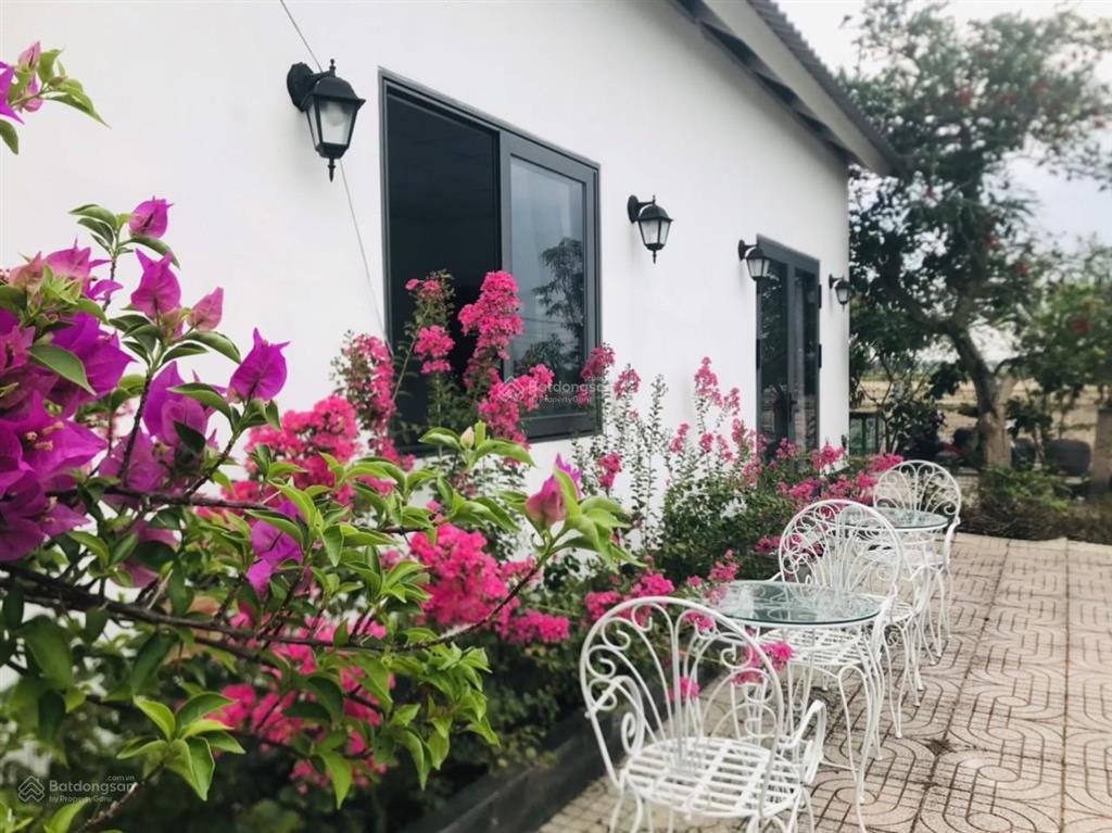 Kẹt tiền trả nh cần bán vườn tâm huyết, cách q2 chỉ 3km, gần 1000m2 giá chỉ 4,7 tỷ