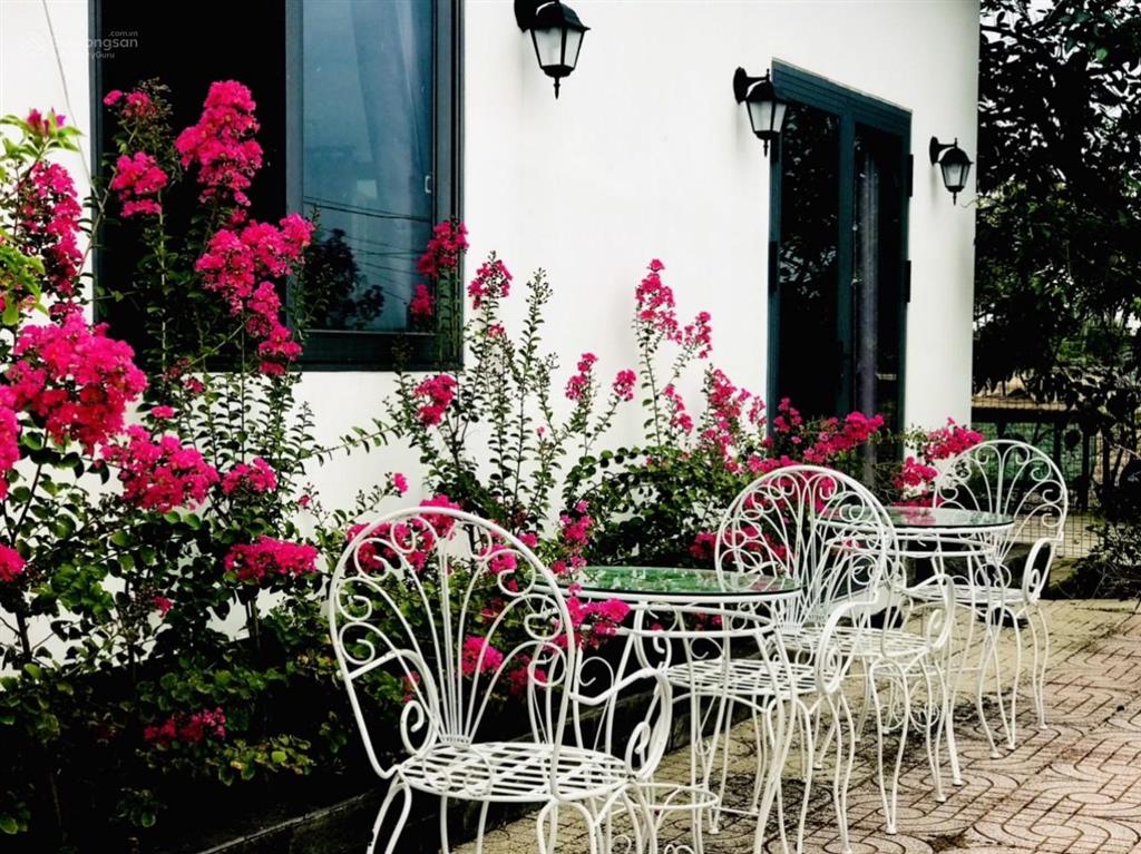 Kẹt tiền trả nh cần bán vườn tâm huyết, cách q2 chỉ 3km, gần 1000m2 giá chỉ 4,7 tỷ