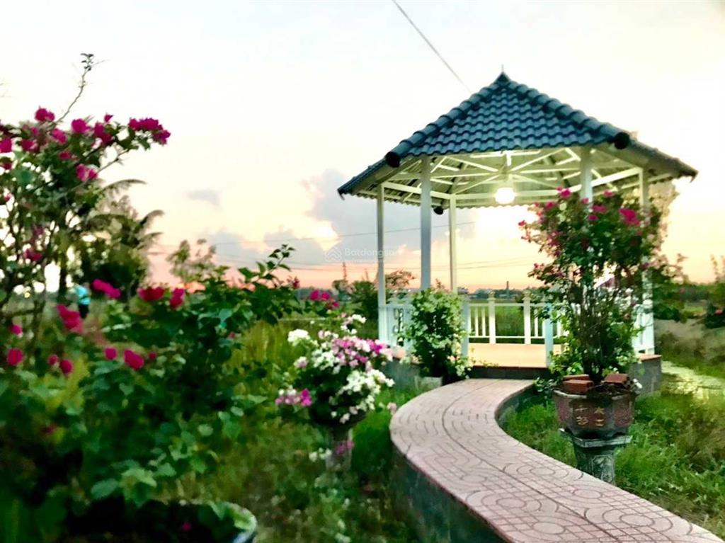 Kẹt tiền trả nh cần bán vườn tâm huyết, cách q2 chỉ 3km, gần 1000m2 giá chỉ 4,7 tỷ