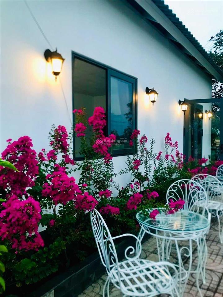 Kẹt tiền trả nh cần bán vườn tâm huyết, cách q2 chỉ 3km, gần 1000m2 giá chỉ 4,7 tỷ