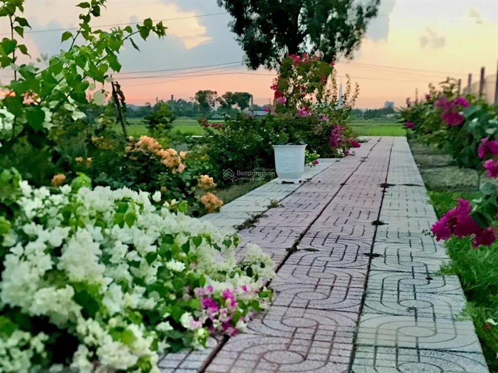 Kẹt tiền trả nh cần bán vườn tâm huyết, cách q2 chỉ 3km, gần 1000m2 giá chỉ 4,7 tỷ