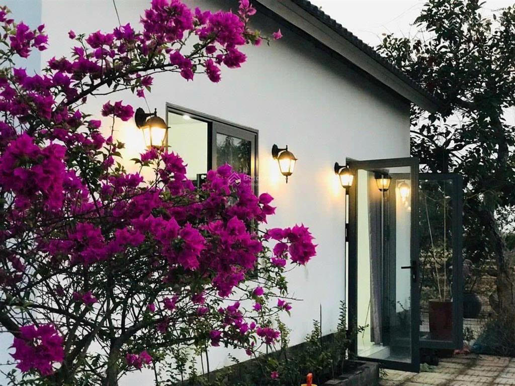 Kẹt tiền trả nh cần bán vườn tâm huyết, cách q2 chỉ 3km, gần 1000m2 giá chỉ 4,7 tỷ
