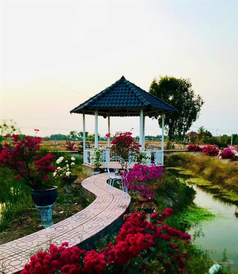 Kẹt tiền trả nh cần bán vườn tâm huyết, cách q2 chỉ 3km, gần 1000m2 giá chỉ 4,7 tỷ