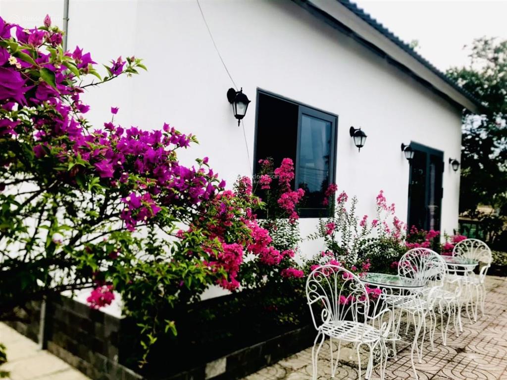 Kẹt tiền trả nh cần bán vườn tâm huyết, cách q2 chỉ 3km, gần 1000m2 giá chỉ 4,7 tỷ