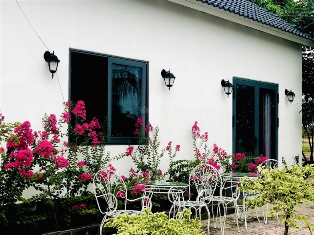 Kẹt tiền trả nh cần bán vườn tâm huyết, cách q2 chỉ 3km, gần 1000m2 giá chỉ 4,7 tỷ