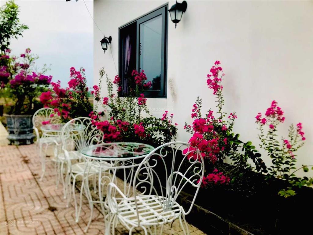 Kẹt tiền trả nh cần bán vườn tâm huyết, cách q2 chỉ 3km, gần 1000m2 giá chỉ 4,7 tỷ