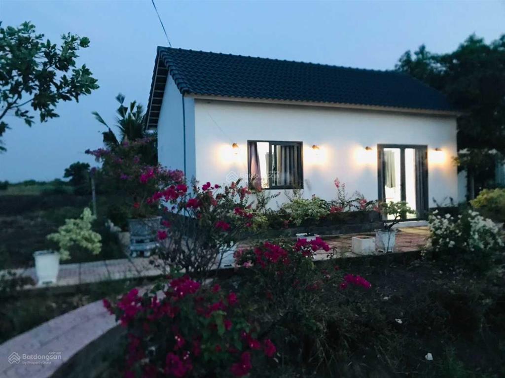 Kẹt tiền trả nh cần bán vườn tâm huyết, cách q2 chỉ 3km, gần 1000m2 giá chỉ 4,7 tỷ