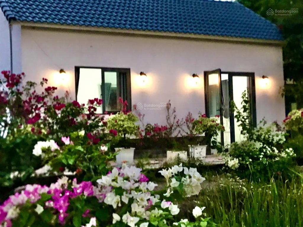 Kẹt tiền trả nh cần bán vườn tâm huyết, cách q2 chỉ 3km, gần 1000m2 giá chỉ 4,7 tỷ