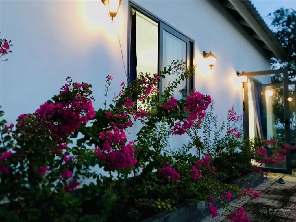 Kẹt tiền trả nh cần bán vườn tâm huyết, cách q2 chỉ 3km, gần 1000m2 giá chỉ 4,7 tỷ