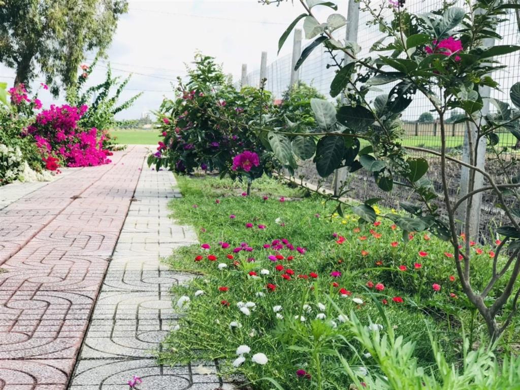 Kẹt tiền trả nh cần bán vườn tâm huyết, cách q2 chỉ 3km, gần 1000m2 giá chỉ 4,7 tỷ